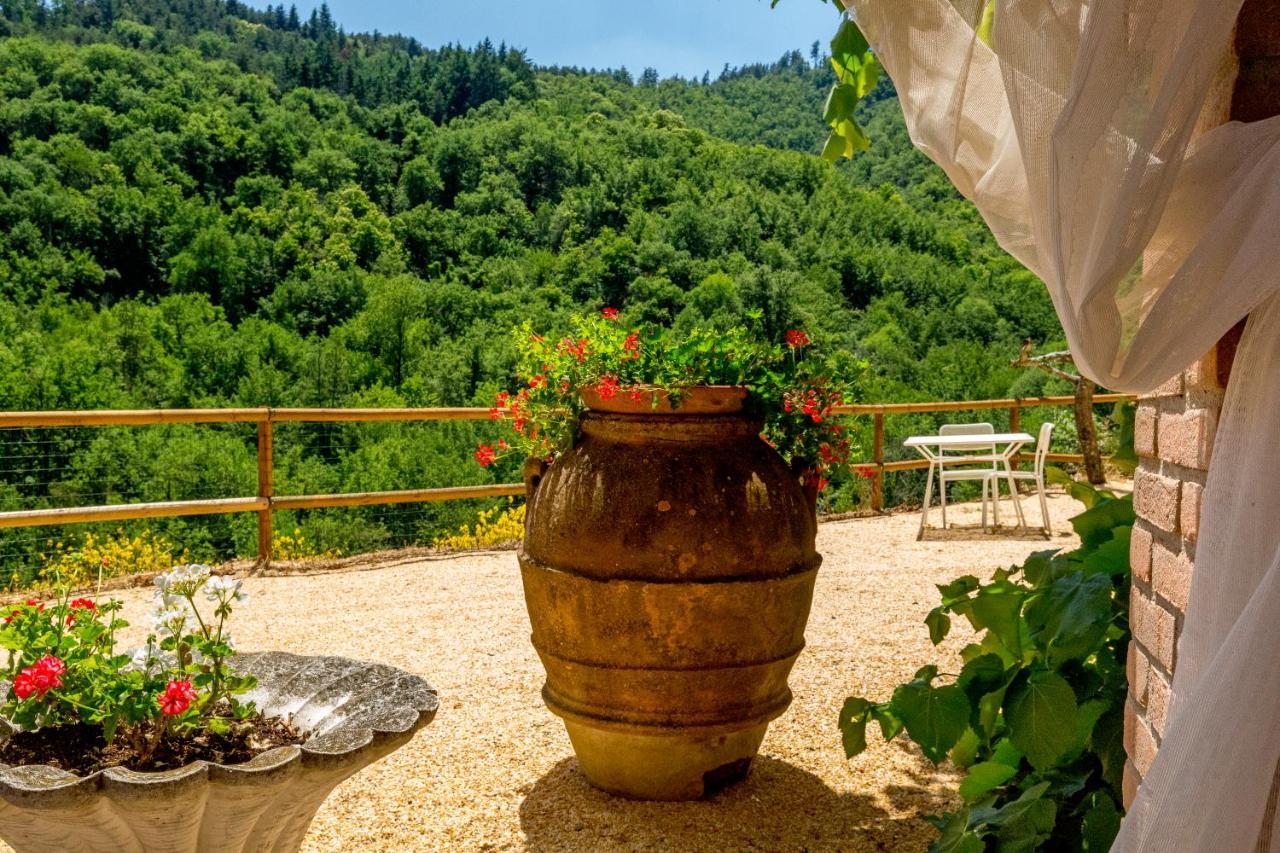 Podere Figlinelle Starda Luaran gambar
